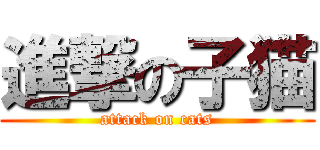 進撃の子猫 (attack on cats)