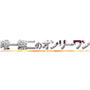 唯一無二のオンリーワン (attack on titan)