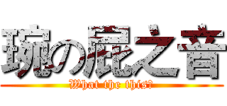 琬の屁之音 (What the this?)