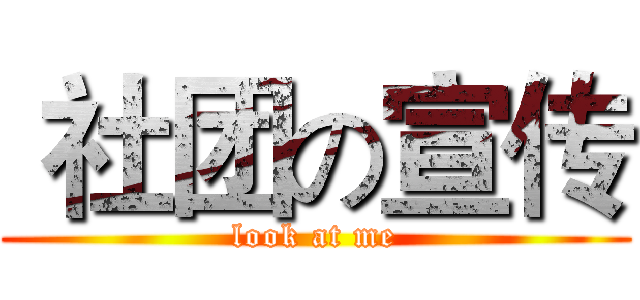  社团の宣传 (look at me)