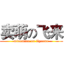 卖萌の飞来 (miaomiao on flycome)