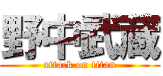 野中武蔵 (attack on titan)