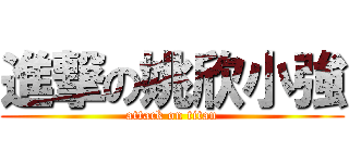 進撃の姚欣小強 (attack on titan)