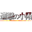 進擊の小陌 (attack on titan)