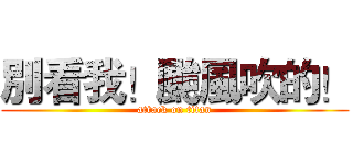 別看我！颱風吹的！ (attack on titan)