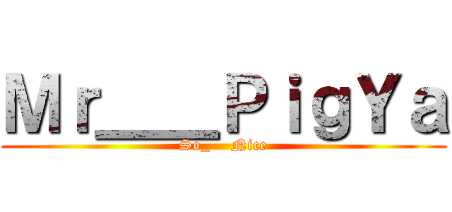 Ｍｒ＿＿ＰｉｇＹａ (So_    Nice)