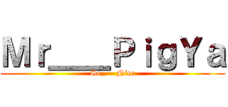 Ｍｒ＿＿ＰｉｇＹａ (So_    Nice)