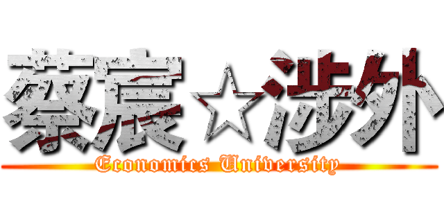 蔡宸☆涉外 (Economics University)