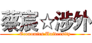 蔡宸☆涉外 (Economics University)