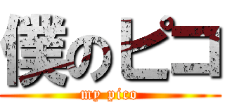 僕のピコ (my pico)