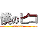 僕のピコ (my pico)