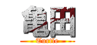 亀田 (Turtle)