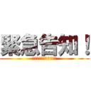 緊急告知！ (バンブーハウス2号計画)