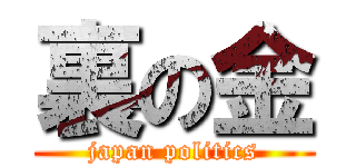裏の金 (japan politics)