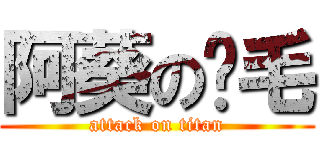 阿葵の腳毛 (attack on titan)