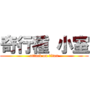 奇行種 小室 (attack on titan)