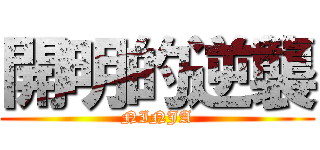 開明的逆襲 (NINJA)