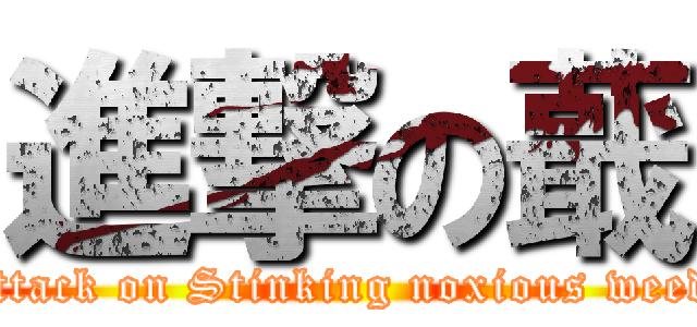 進撃の蕺 (attack on Stinking noxious weed)