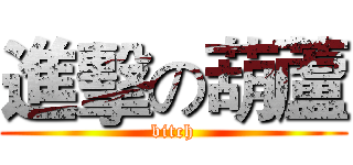 進擊の葫蘆 (bitch)