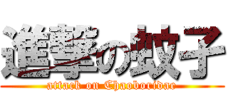 進撃の蚊孑 (attack on Chaoboridae)
