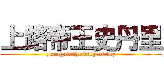 上路帝王史丹里 (huangali the king of top)