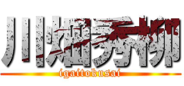 川畑秀柳 (igaitokusai)