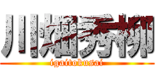 川畑秀柳 (igaitokusai)