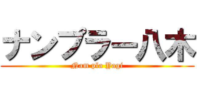 ナンプラー八木 (Nam pla Yagi)