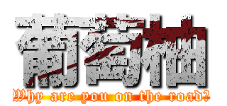 葡萄柚 (Why are you on the road?)