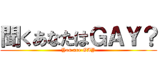 聞くあなたはＧＡＹ？ (You are GAY)