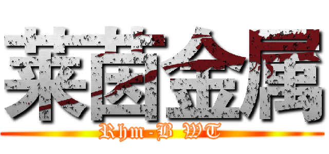 莱茵金属 (Rhm-B WT)