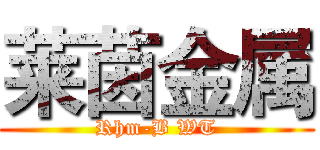 莱茵金属 (Rhm-B WT)