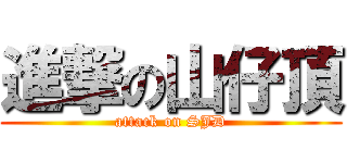 進撃の山仔頂 (attack on SJD)