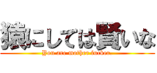 猿にしては賢いな (You are mother fucker.)