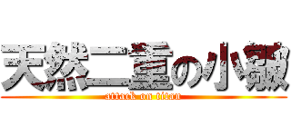 天然二重の小皺 (attack on titan)