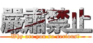 嚴肅禁止 (Why are you so serious?)