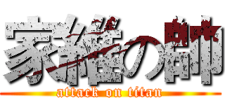 家維の帥 (attack on titan)