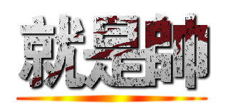 就是帥 ()