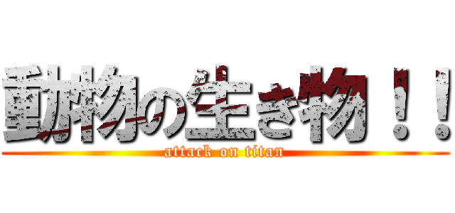 動物の生き物！！ (attack on titan)