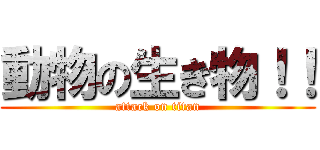 動物の生き物！！ (attack on titan)