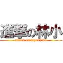 進撃の林小 (attack on bayashiko)