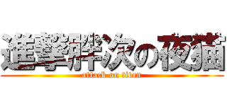 進撃胖次の夜猫 (attack on titan)