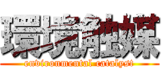 環境触媒 (environmental catalyst)