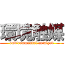 環境触媒 (environmental catalyst)