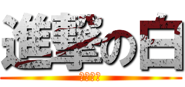 進撃の白 (生日快樂)