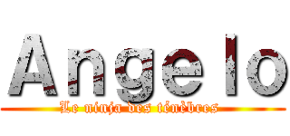 Ａｎｇｅｌｏ (Le ninja des ténèbres )