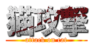 猫攻撃 (attack on cat)