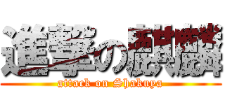 進撃の麒麟 (attack on Shakuya)