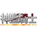 神聖騎士 ()