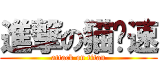 進撃の猫变速 (attack on titan)